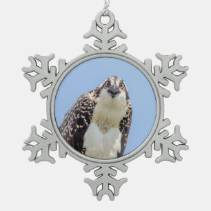 Ornement Flocon De Neige Closeup d'un balbuzard juvénile