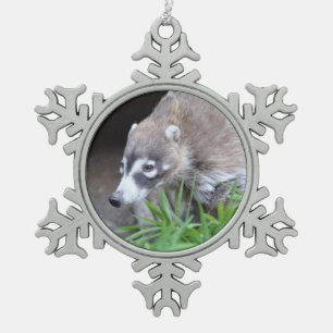 Ornement Flocon De Neige Coati de vagabondage
