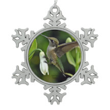 Colibri