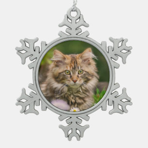 Ornement Flocon De Neige Cute Maine Coon Kitten Portrait de chat **