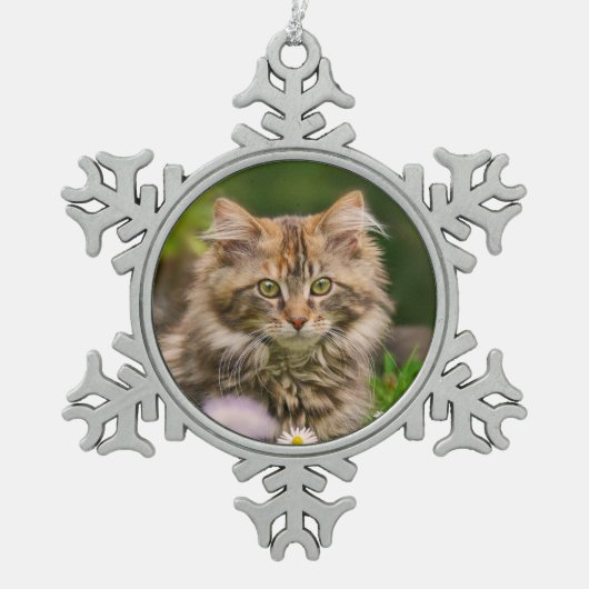 Ornement Flocon De Neige Cute Maine Coon Kitten Portrait de chat ** (Devant)