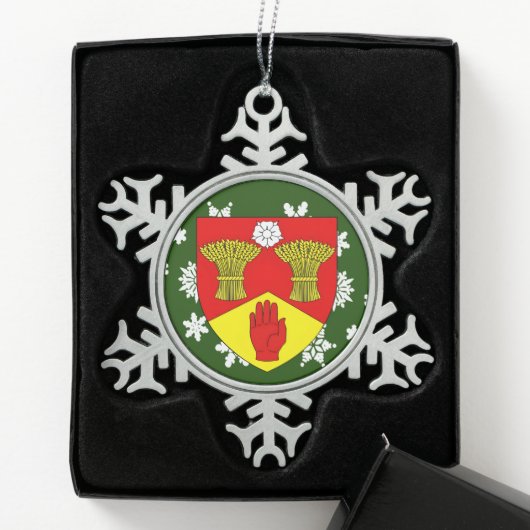 Ornement Flocon De Neige Derry Ireland Crest (Boîte)