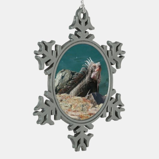 Ornement Flocon De Neige Iguana à St Thomas (Gauche)