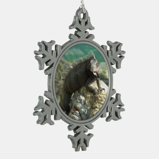 Ornement Flocon De Neige Iguana sur les rochers à St. Thomas (Gauche)