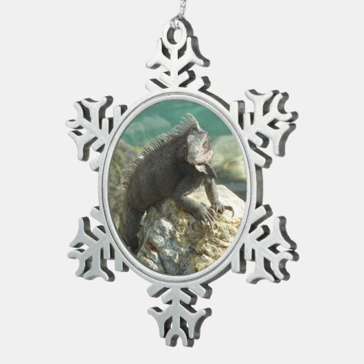 Ornement Flocon De Neige Iguana sur les rochers à St. Thomas (Vue impression)