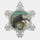 Ornement Flocon De Neige Iguana sur les rochers à St. Thomas (Devant)