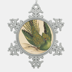 Ornement Flocon De Neige James Sowerby Parrot terrestre, Psittacus terrestr