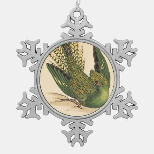 Ornement Flocon De Neige James Sowerby Parrot terrestre, Psittacus terrestr (Devant)