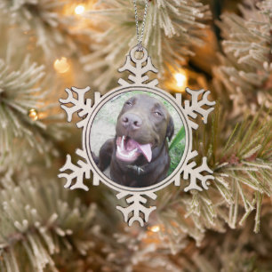 Ornement Flocon De Neige Joies Idiotes : chiot Labrador brun au chocolat,