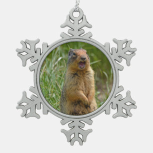 Ornement Flocon De Neige Joli gopher