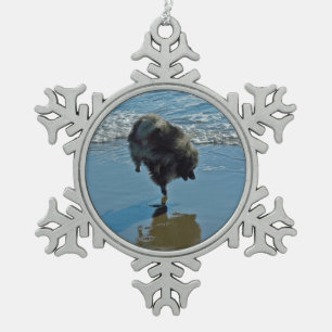 Ornement Flocon De Neige Keeshond Ballet Photographie - Joli chien d'origin