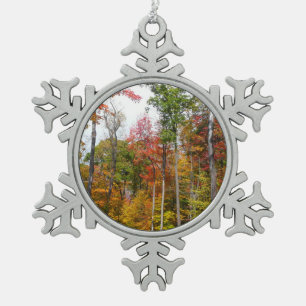 Ornement Flocon De Neige L'automne dans la forêt Photographie d'automne col