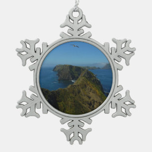 Ornement Flocon De Neige Le point d'inspiration d'Anacapa I dans les îles d