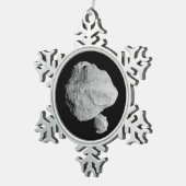 Ornement Flocon De Neige Lucy Mission Dinkinesh Binary Asteroid (Vue impression)