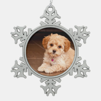 Ornement Flocon De Neige Mélange de caniche de bébé ou chiot maltais de