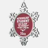 Ornement Flocon De Neige Météorologie Étudiant Pas Sommeil Argent Cardinal (Vue impression)