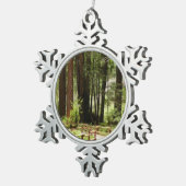 Ornement Flocon De Neige Muir Woods Chemin I Nature Photographie (Vue impression)