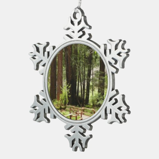 Ornement Flocon De Neige Muir Woods Chemin I Nature Photographie (Vue impression)