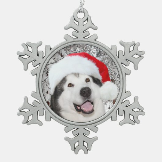 Ornement Flocon De Neige Noël de Malamute d'Alaska (Devant)