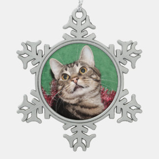 Ornement Flocon De Neige Noël tigré de visage de minou