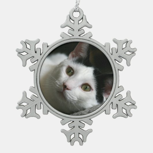 Ornement Flocon De Neige Ornement de chat (Devant)