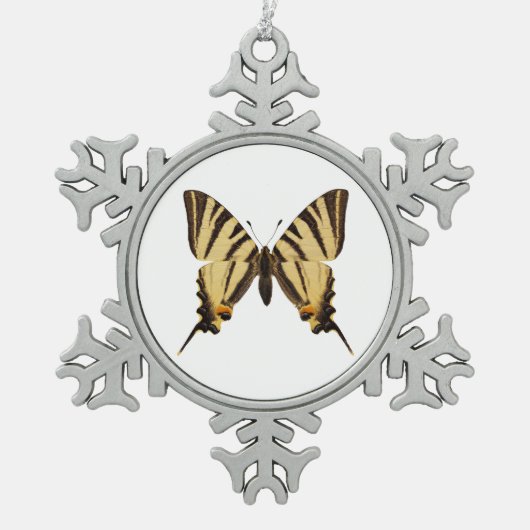 Ornement Flocon De Neige Papillon à queue épaisse isolée (Devant)