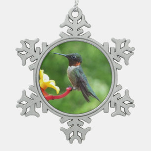 Ornement Flocon De Neige Photographie d'oiseau Colibri à gorge rubis