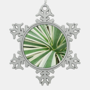 Ornement Flocon De Neige Plante Agave Vert et blanc rayé