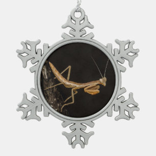 Ornement Flocon De Neige Prière Mantis Belle Et Déplaisante Insecte Art