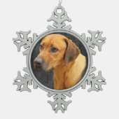 Ornement Flocon De Neige Rhodesian Ridgeback (Devant)