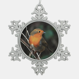 Ornement Flocon De Neige Robin Être Lumineux Sur Un Jour Dull Art Acrylique