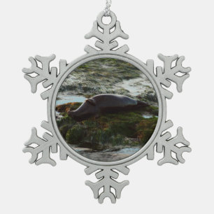 Ornement Flocon De Neige Sceau du port de Sunset Lit II à San Diego