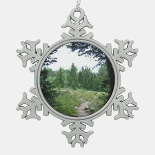 Ornement Flocon De Neige Sentier Grand Teton