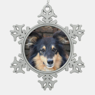 Ornement Flocon De Neige Sheltie tricolore font face