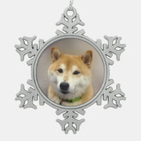 Suki est devenu Modèle photo