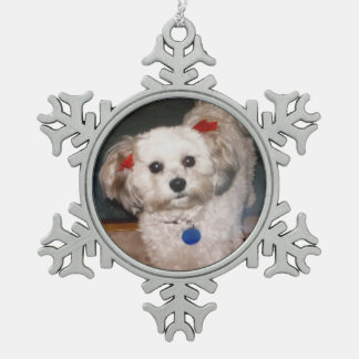 Ornement Flocon De Neige Un précieux flocon de neige