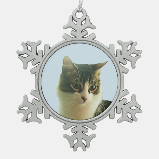 Ornement Flocon De Neige Visage de chat tabby mignon (Devant)