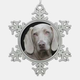 Ornement Flocon De Neige Weimaraner Silver Grey