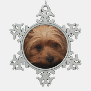 Ornement Flocon De Neige Yorkie Classic Pout