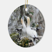 Ornement : Fous de Bassan affectueux (Gauche)