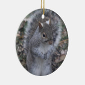 Ornement gris d'écureuil (Droite)