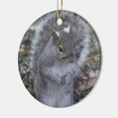 Ornement gris d'écureuil (Gauche)