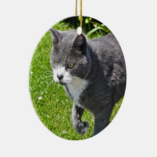 Ornement gris et blanc de chat (Droite)