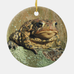 Ornement impressionnant de Noël de crapaud de