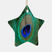 Ornement indien bleu Peacock Feather Star (Droite)
