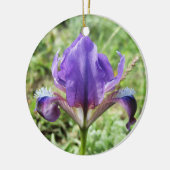 Ornement Iris Sauvage (Gauche)