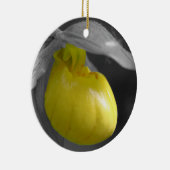 Ornement jaune de fleur de BW de Madame pantoufle (Droite)