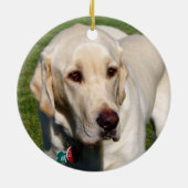 Ornement jaune de Labrador (Dos)