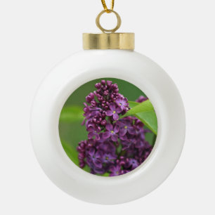 Ornement Lilac Violet