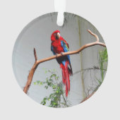 Ornement Macaw à ailes vertes #2 (dos)